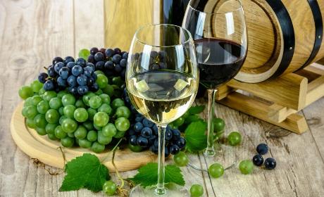 Prvi Natječaj za podnošenje zahtjeva za potporu iz sektora vina unutar Strateškog plana zajedničke poljoprivredne politike Republike Hrvatske 2023. – 2027. za intervenciju „58.1.k.01. – PROMOWINE(58(1)(k)) – promidžba u trećim zemljama“